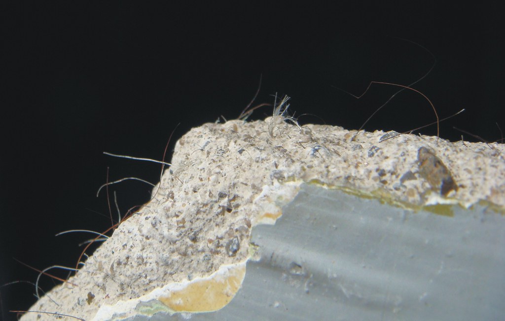 CVE asbestos in plaster