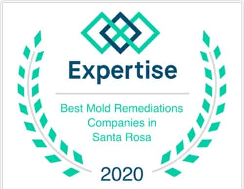 CVE Expertise Award 2020